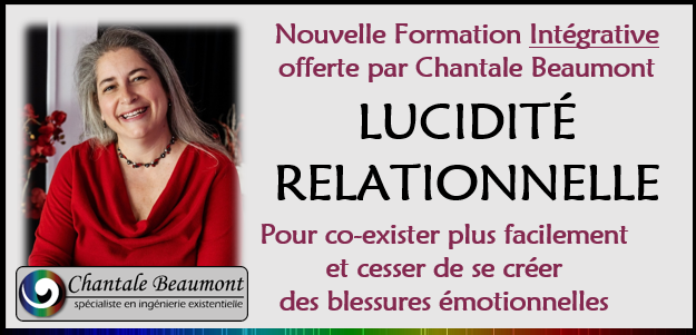 LUCIDITÉ RELATIONNELLE en groupe